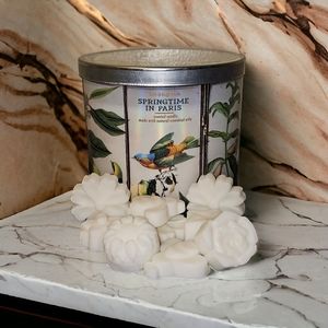 Springtime in Paris | Wax Melts | Bath and Body Works